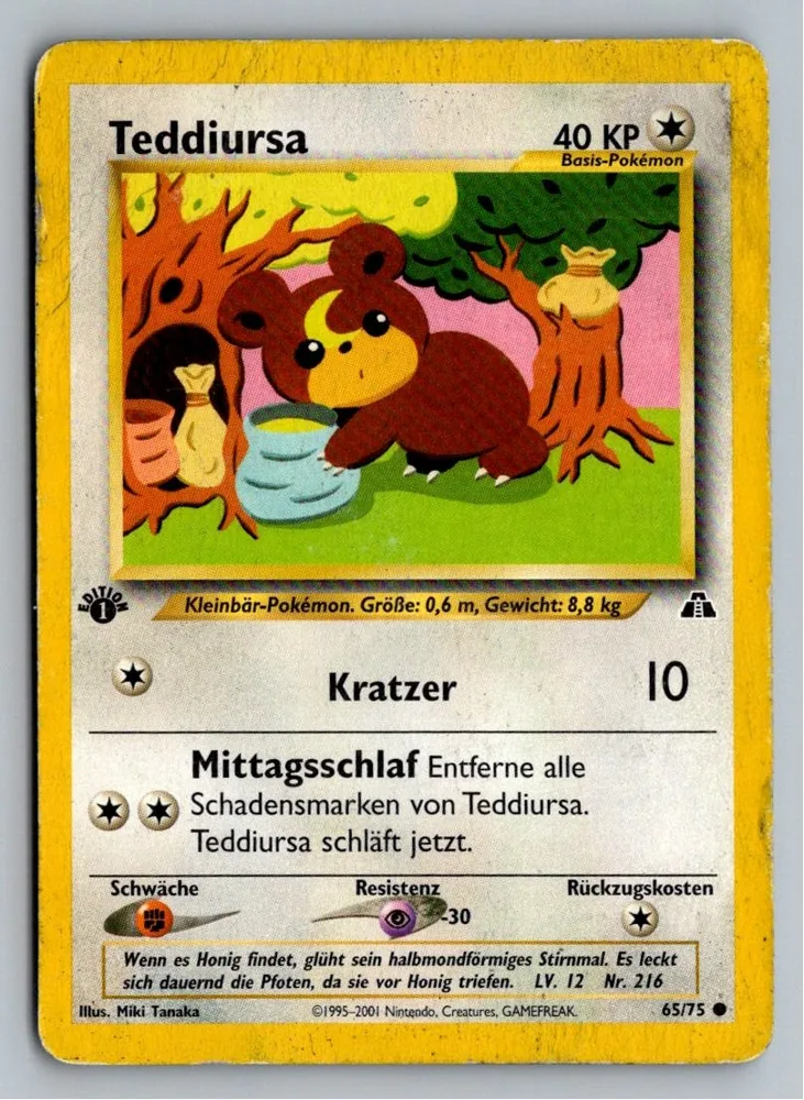 Teddiursa 65/75 Neo Entdeckung – Vorderseite