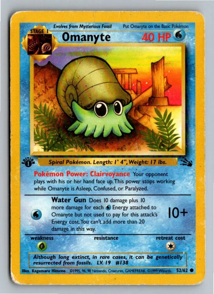 Omanyte Amonitas 52/62 Fossil – Vorderseite