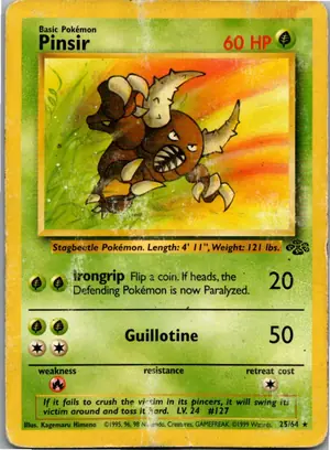 Pokémon-Karte Pinsir 25/64 Dschungel