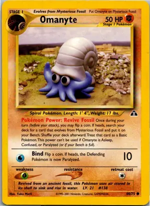 Omanyte Amonitas Exemplar 2,95 €