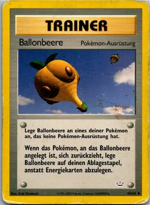 Ballonbeere Exemplar 4,95 €