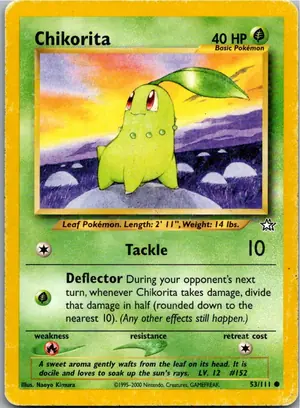 Chikorita Endivie Exemplar 3,95 €