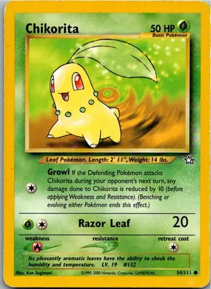 Chikorita Endivie Exemplar 3,95 €