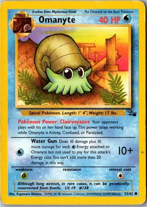 Omanyte Amonitas Exemplar 1,95 €