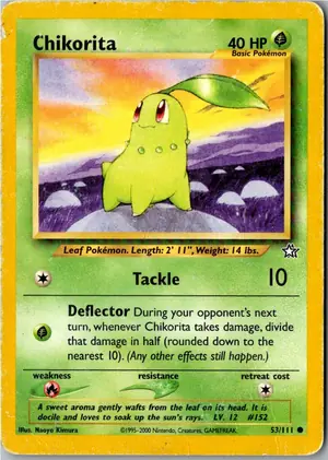 Chikorita Endivie Exemplar 3,95 €