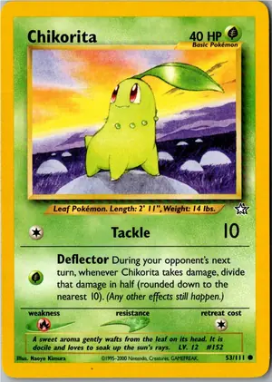 Chikorita Endivie Exemplar 3,95 €