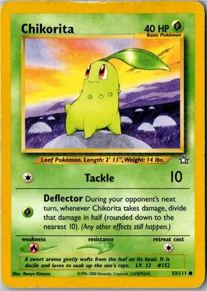 Chikorita Endivie Exemplar 3,95 €