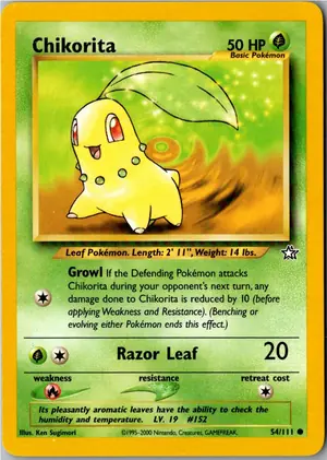 Chikorita Endivie Exemplar 3,95 €