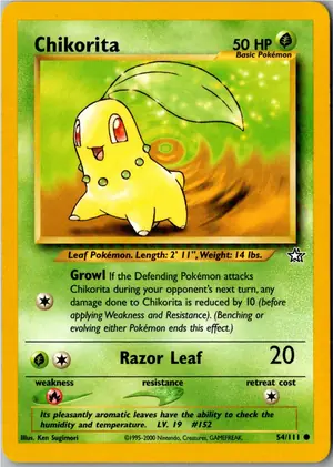 Chikorita Endivie Exemplar 3,95 €