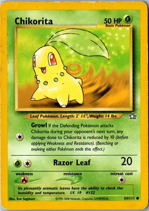Chikorita Endivie Exemplar 3,95 €