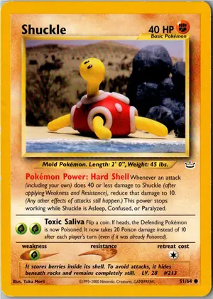 Shuckle Pottrott Exemplar 2,95 €