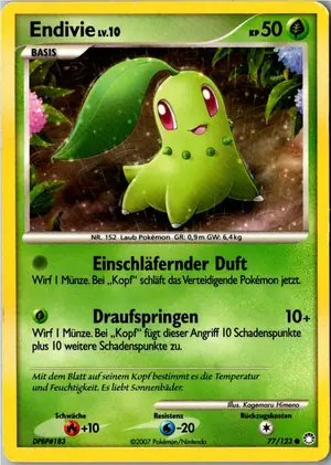 Endivie Exemplar 3,25 €
