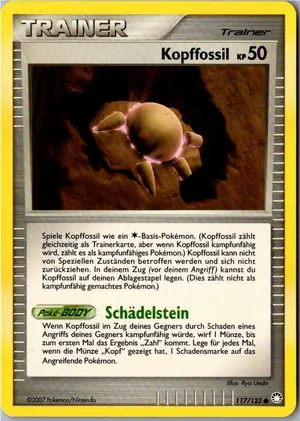 Kopffossil Exemplar 1,95 €