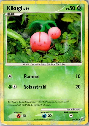 Kikugi Exemplar 1,95 €