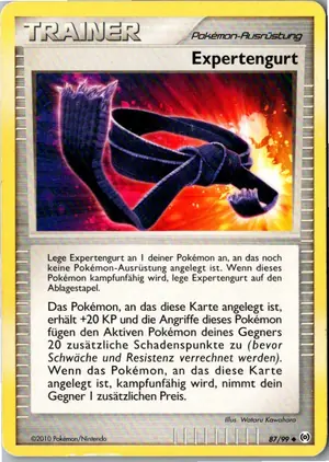 Expertengurt Exemplar 1,95 €