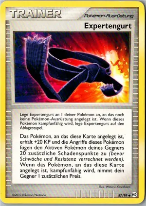 Expertengurt Exemplar 1,95 €