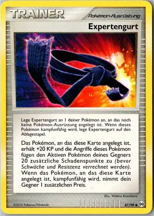 Expertengurt Exemplar 1,95 €