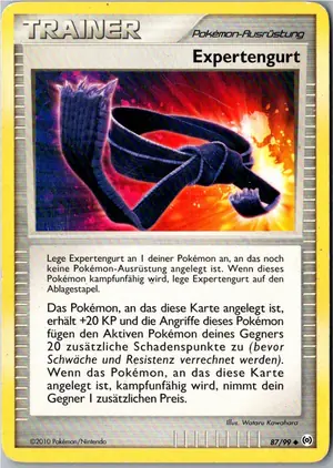 Expertengurt Exemplar 1,95 €