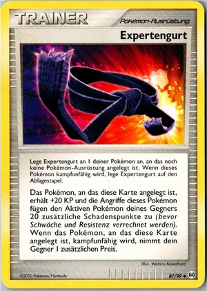Expertengurt Exemplar 1,95 €