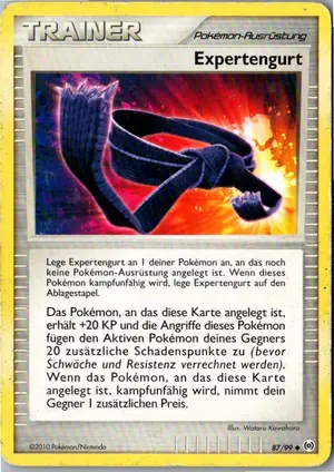 Expertengurt Exemplar 1,95 €