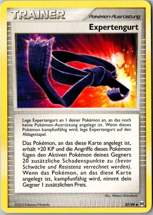 Expertengurt Exemplar 1,95 €