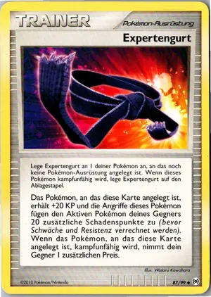 Expertengurt Exemplar 1,95 €