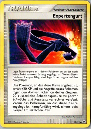 Expertengurt Exemplar 1,95 €