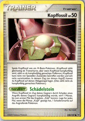 Kopffossil Exemplar 1,95 €