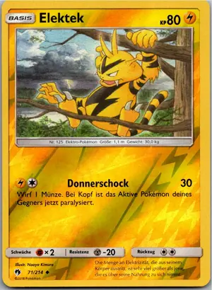 Pokémon-Karte Elektek 71/214 Echo des Donners