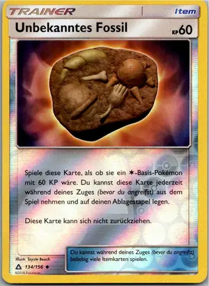 Unbekanntes Fossil Exemplar 2,95 €