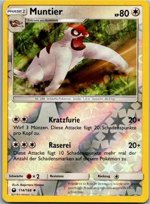 Pokémon-Karte Muntier 114/168 Sturm Am Firmament