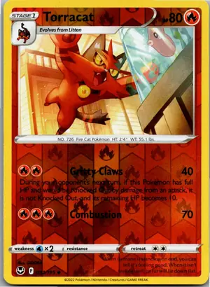 Torracat Miezunder Exemplar 1,95 €