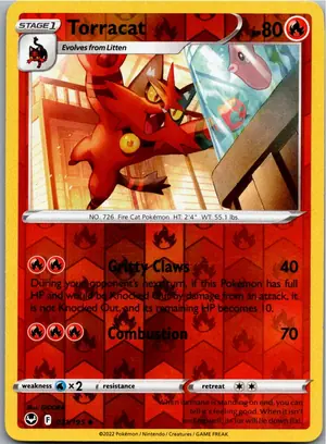 Torracat Miezunder Exemplar 1,95 €