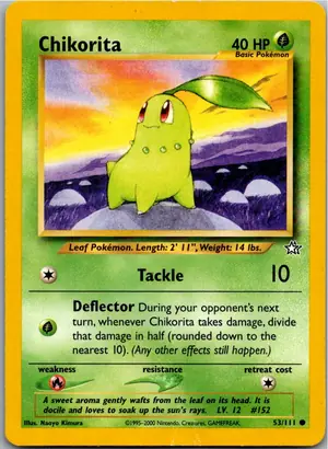 Chikorita Endivie Exemplar 3,25 €