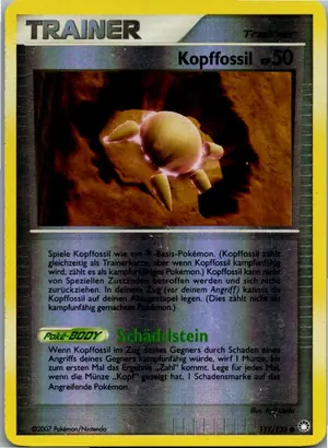 Kopffossil Exemplar 3,95 €