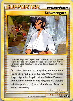 Schwarzgurt Exemplar 1,95 €