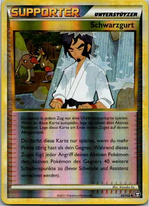 Schwarzgurt Exemplar 2,95 €