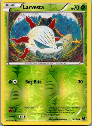 Pokémon-Karte Larvesta Ignivor 14/114 Dampfkessel