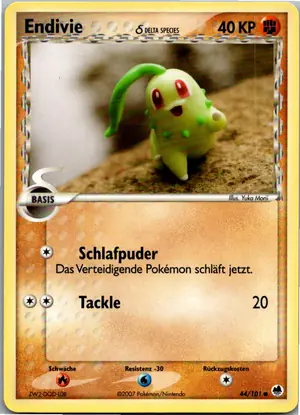 Endivie Exemplar 3,95 €