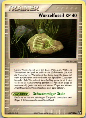 Wurzelfossil Exemplar 1,95 €
