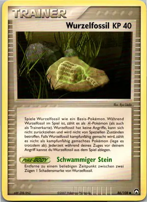 Wurzelfossil Exemplar 1,95 €