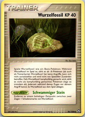 Wurzelfossil Exemplar 1,95 €