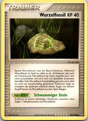 Wurzelfossil Exemplar 1,95 €