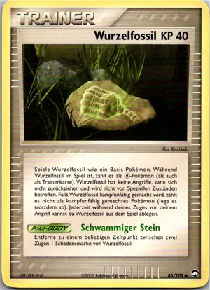 Wurzelfossil Exemplar 1,95 €