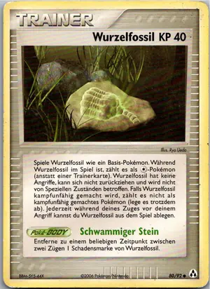 Wurzelfossil Exemplar 1,95 €