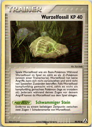 Wurzelfossil Exemplar 1,95 €