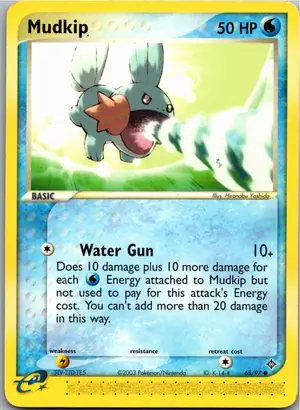 Pokémon-Karte Mudkip Hydropi 65/97 EX Drache