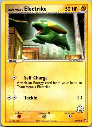 Pokémon-Karte Team Aqua's Electrike 53/95 EX Team Magma vs Team Aqua