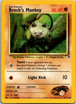 Pokémon-Karte Brock's Mankey 67/132 Gym Heroes