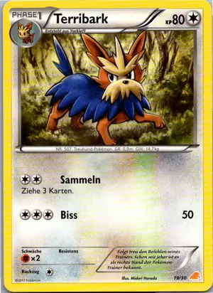 Pokémon-Karte Terribark 19/30 BW trainer Kit (Excadrill)
